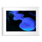 Eichholtz Print Philippe Vogelenzang - See You At Midnight