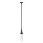 Hubbardton Forge Fritz Mini Pendant in Black, Clear Glass (ZM)