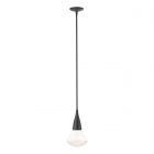 Hubbardton Forge Fritz Large Pendant in Black, Clear Glass (ZM)