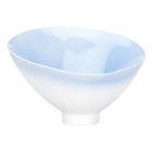 Chelsea House Misc San Antonio Bowl