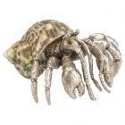 Chelsea House Hermit Crab Paperweight (Dropshippable)