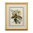 Chelsea House Butterfly Oasis IV (Dropshippable)