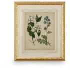 Chelsea House Cottage Florals I (Dropshippable)