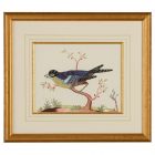 Chelsea House Blue Bird