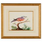 Chelsea House Blue Crest