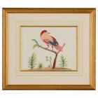 Chelsea House Pink W/Blue Berries