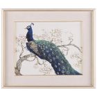 John Richard Tim O'Toole's Peacock and Blossoms I Art Frame