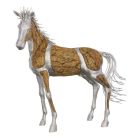 Phillips Collection Mustang Horse Woodland Sculpture, Standing