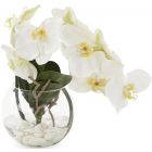 John Richards Aqua White Orchid