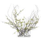 John Richards Swirling Branches