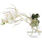 John Richards Blushing Pink Orchid