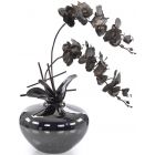 John Richards Midnight Delight