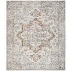 Nourison Home Astra Machine Washable ASW12 7'10" x 10' Grey Multicolor Rectangle Vintage Indoor Rug