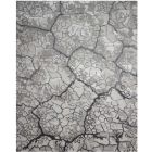 Nourison Home Divine DIV01 5'6" x 7'5" Charcoal Modern Indoor Rug