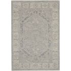 Nourison Home Infinite IFT02 5'3" x 7'8" Grey Vintage Indoor Rug (Dropshippable)