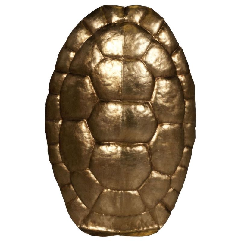 tortoise shells for sale