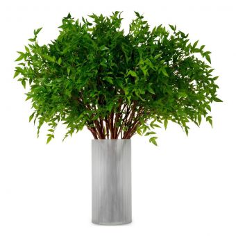 Eicholtz Bundle Of Tender Leaves 36 Pcs