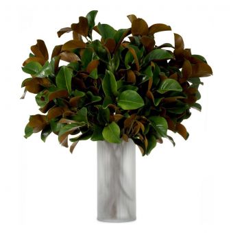 Eicholtz Bundle Of Magnolia Leaves 24 Pcs