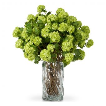 Eicholtz Bouquet Of Hydrangeas Snowball Green Real Touch 36 Pcs
