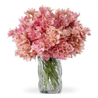 Eicholtz Bouquet Of Cymbidium Orchids Pink And Peach Tones Real Touch 36 Pcs/2Varieties