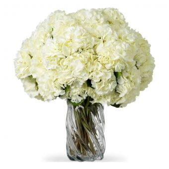 Eicholtz Bouquet Of Hydrangeas White Tones Real Touch 48 Pcs/2 Varieties