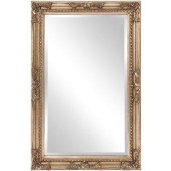 Howard Elliot Queen Ann Mirror in Silver