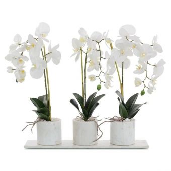 John Richard Marble Orchids Faux Plants