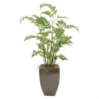 John Richard Mossy Fern Faux Plants