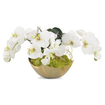 John Richard Fallen Orchids Faux Plants