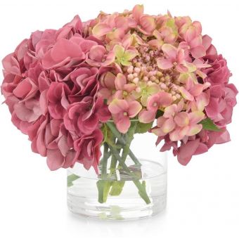 John Richard Sugar Plum