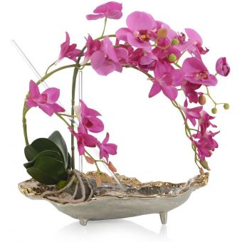 John Richard Orchid On The Rock