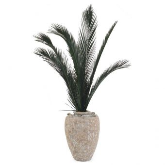 John Richard Crusty Palms