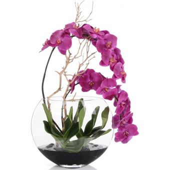 John Richards Asian Beauty