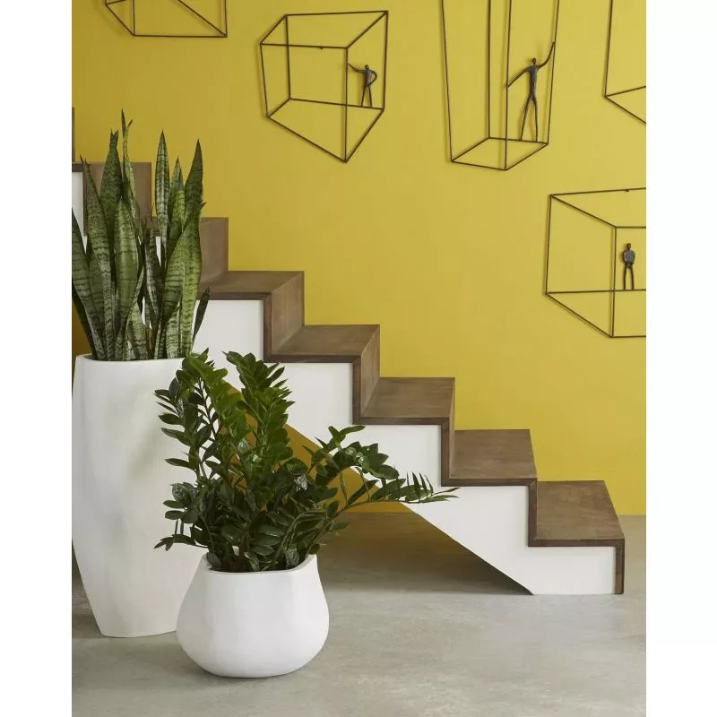 Phillips Collection Claire Planter - Thumbnail 5